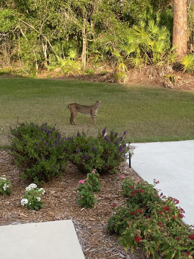 Short Term Vacation Rental Luxury B&B Cth Englewood Esterno foto
